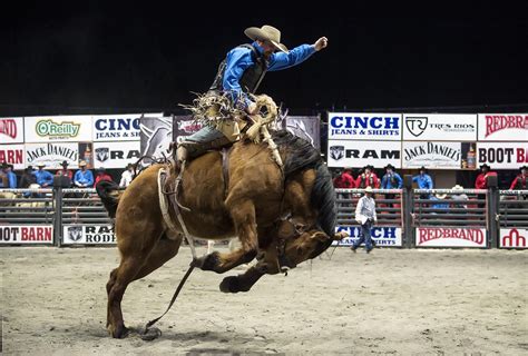World's toughest rodeo - Cinch World's Toughest Rodeo. Moline, Ill., April 2-3. Bareback riding: 1.Mark Kreder, 82 points on Three Hills Rodeo's The Crow, $2,671; 2. Anthony Thomas, 80.5 ...